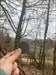 This pretty TB is now in a geocache in the wood of Alsace, France. He as a view over the vineyards ! ??

Have a nice and safe travel ! 
Sarsar68 ?? Image du log téléchargée depuis l&#39;appli Geocaching®