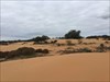 Mildura Dunes Mildura Dunes Created by wind and riversand, no oceans around here