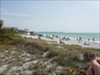 Delaware at the beach - Sarasota FL - Lido Beach