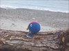 Whale Tale visits his first ocean