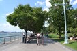Visiting Hudson River Park