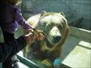 at Minnesota Zoo with BEAR!