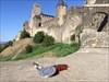 Cité de Carcassonne 3