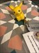 Pika is now in my kitchen… i will either cook it… or hide it as soon as possible… nearby Nantes in France ! Image du log téléchargée depuis l&#39;appli Geocaching®