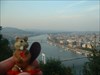 Bobble Head Beaver in Budapest View from the top of the mountain