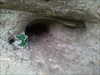 der Frosch als Höhlenforscher er hat die Höhle mal anprobiert, wollte dann aber doch nicht einziehen