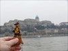 Puss on the Danube Puss and Boots on the banks of the River Danube, Hungary ready to storm Buda castle...Tuche!
