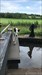 Llangollen Canal:  Povey Locks