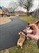 went for a walk with Chester Corgi and found a cache at the playground!  Log image uploaded from Geocaching® app