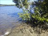The TB's near GZ Coastal mangroves
