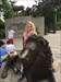 Leaving Lincoln Park Zoo Tickled a lion then went to find more caches at the Hot Dog Festival.