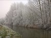 iced trees in Utrecht