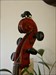 The beatle on top of a cello in Apeldoorn, .nl far away from home...