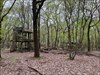 Around another Crockham Wood Trek, Kent Log image uploaded from Geocaching® app