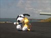 Snoopy on the east coast Snoopy picked up his friend Woodstock in west Texas and took him to South Carolina.  Pictured at Fort Moultrie, where the first shots of the Civil War were fired.