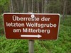 Fuchs & Hase an der Wolfsgrube am Mitterberg