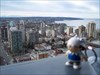 DET TB. Here is DET enjoying the view of the Rocky Mountains from his perch on the 32nd floor of the Sheraton Wall Centre Hotel in Vancouver, British Columbia, Canada.