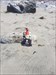 Geo Gnome at the beach