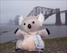 Coco at Forth Bridges Too misty for a really good view!