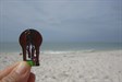 Horse on the Beach
