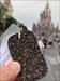 Visited Disney’s Magic Kingdom- Orlando Florida  Log image uploaded from Geocaching® app