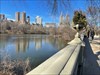Visited 2/7/24 - NYC Central Park Log image uploaded from Geocaching® app