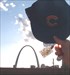 St louis Arch Cubs Fan visits St Louis Arch