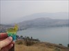 TB in Vernon Overlooking Kalamalka Lake.  It&#39;s smokey from the forest fires