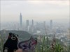 A hazy day in Taipei, Taiwan