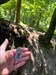 Nice Cache, with a TravelBug. We took the TB with us and will place it somewhere else :) Logfoto verzonden vanuit de Geocaching®-app