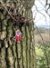 I left Santa in a cache a little closer to Germany ???? Logbillede er uploadet via Geocaching® app