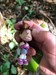 My first! So cute and funny!  Log image uploaded from Geocaching® app