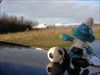 Football Smurf bij de cache ...met op de achtergrond de Stena Line