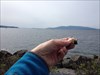 TB at Puget Sound in Bellingham, WA