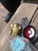 Good travels little buddy!!! Log image uploaded from Geocaching® app