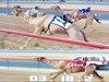 3 Camel Races