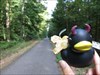 Rallye-Duck in de bossen bij de autostop