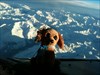 Cooper over the Alps