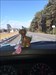 Riding down i10  Log image uploaded from Geocaching® app