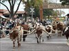 Now that I am back in Texas, it is time to start looking for a good place to drop this travel bug in the weeks to come. But for now, enjoy this cattle drive in Fort Worth at the historic Stockyards. Anyone want to buy a longhorn????  Log image uploaded from Geocaching® app