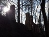 Aussicht Ruine Wehrstein