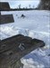 Uit de sneeuw bevrijd Logfoto verzonden vanuit de Geocaching®-app