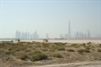 Dubai skyline with racing camels