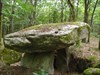 sur le dolmen