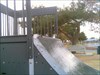 Boom Boom in Action At the Kennedy Skate Park in Yuma AZ. USA