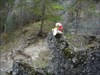 happy bear in Sulov rocks