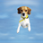 flying beagle’s profile picture