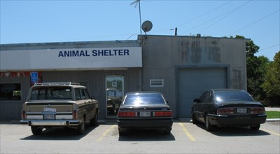 Little Elm Animal Shelter, Buy Now, Best Sale, 54% OFF,  