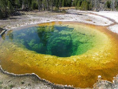 Morning Glory Pool Yellowstone National Park Wyoming