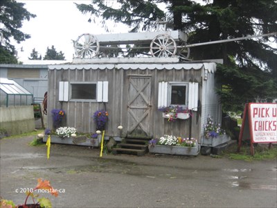 Gardening Store Homer Alaska